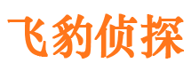 平凉情人调查